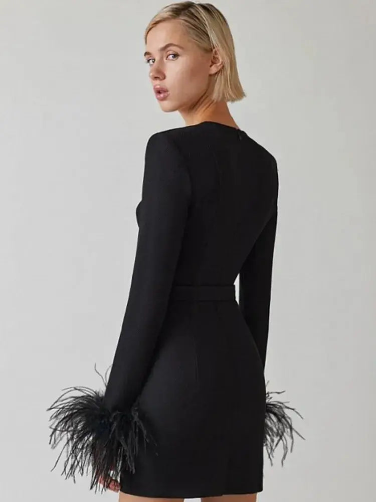 Feather-Trimmed Mini Dress